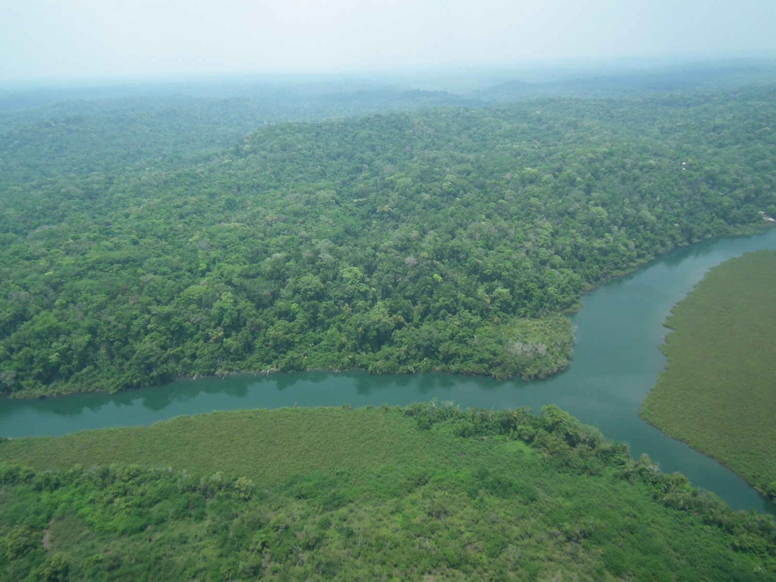 Reserva de la Biosfera Maya, 34 años trabajando para la protección y ...