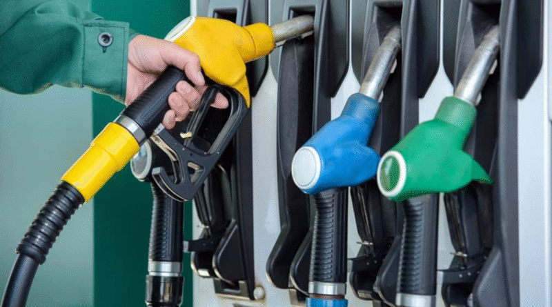 Combustibles y libertad de elección: lo que todo conductor debería saber