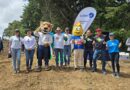 Unen esfuerzos para plantar más de 3,000 árboles