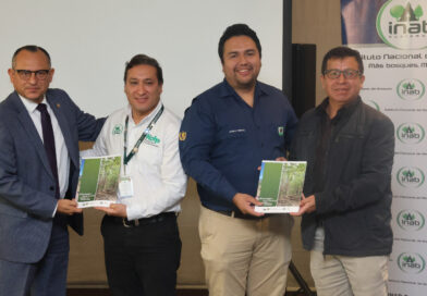 Lanzamiento de la Estrategia de Salud y Sanidad Forestal para Guatemala
