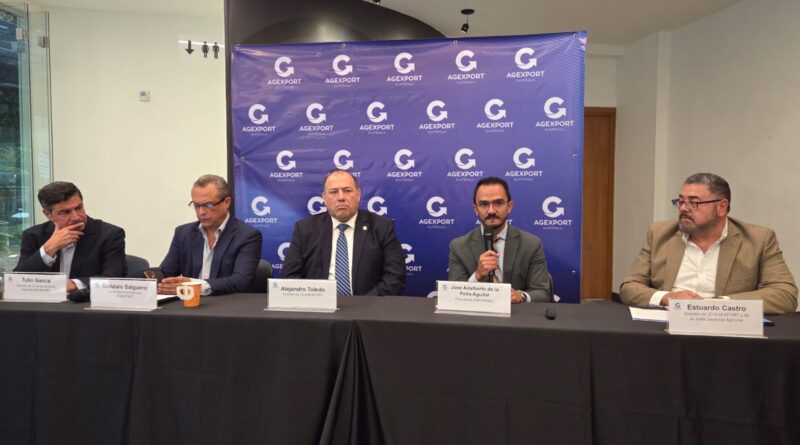 Nuevo golpe a la competitividad: Algunas navieras incrementan costos en el Puerto Santo Tomás de Castilla