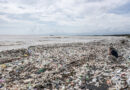 De la teoría a la acción, la humanidad dice hoy: ¡No más contaminación por plástico!