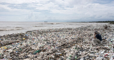 De la teoría a la acción, la humanidad dice hoy: ¡No más contaminación por plástico!