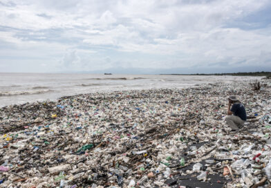 De la teoría a la acción, la humanidad dice hoy: ¡No más contaminación por plástico!