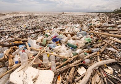 Fracasan nuevamente las negociaciones para un tratado global contra la contaminación por plásticos