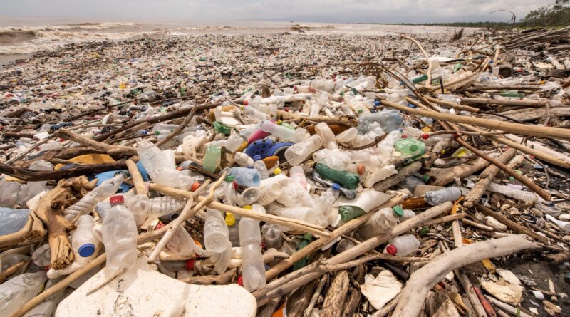 Fracasan nuevamente las negociaciones para un tratado global contra la contaminación por plásticos