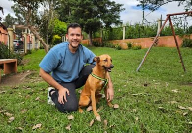 Cómo mejorar la salud de tu mascota en solo 28 días