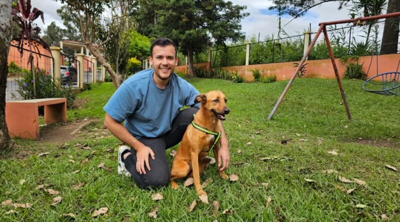 Cómo mejorar la salud de tu mascota en solo 28 días