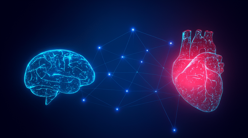 La conexión entre el cerebro y el corazón Experto de Mayo Clinic explica este poderoso vínculo que funciona en ambas direcciones