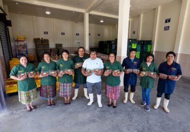 Comercializadora Margarita, un ejemplo de fortalecimiento agrícola en Guatemala