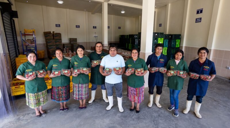 Comercializadora Margarita, un ejemplo de fortalecimiento agrícola en Guatemala