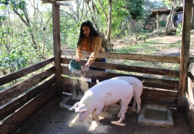 Construir resiliencia hoy para tener seguridad alimentaria mañana en Centroamérica