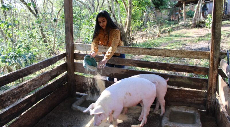Construir resiliencia hoy para tener seguridad alimentaria mañana en Centroamérica