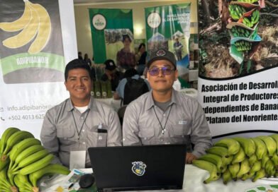 Salamá, Baja Verapaz, fue el encuentro de productores agrícolas listos para encadenar a la exportación guatemalteca