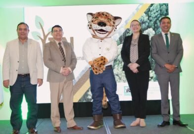 Anuncian resultados del segundo Inventario Forestal Nacional
