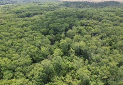 INAB impulsa la reducción de emisiones y protege el Patrimonio Natural de Guatemala