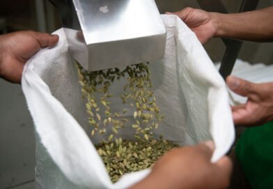 Cardex lleva el sabor de Guatemala a más de 50 países con especias premium