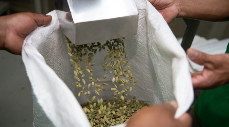 Cardex lleva el sabor de Guatemala a más de 50 países con especias premium