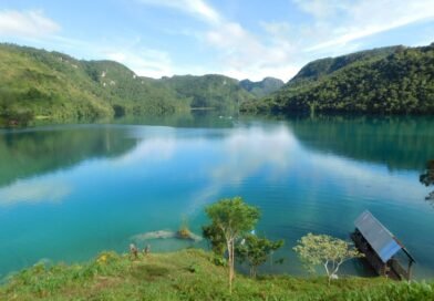 INAB impulsa acciones desde los bosques para garantizar el futuro hídrico 