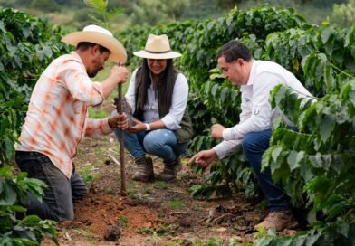 Nestlé contribuye a la siembra de más de 2 millones de árboles en Centroamérica y acelera la transición hacia cadenas de abastecimiento libres de deforestación
