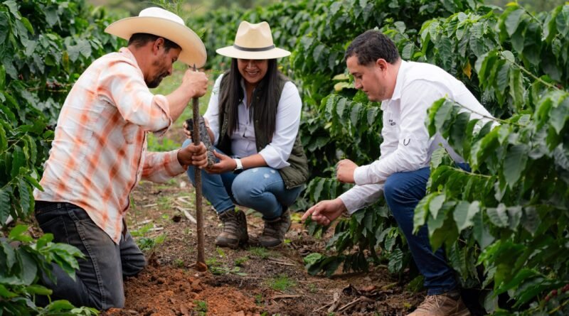 Nestlé contribuye a la siembra de más de 2 millones de árboles en Centroamérica y acelera la transición hacia cadenas de abastecimiento libres de deforestación