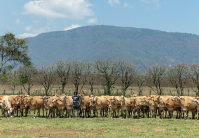 Pasajinak fortalece su compromiso ambiental con iniciativas de sostenibilidad y energías limpias