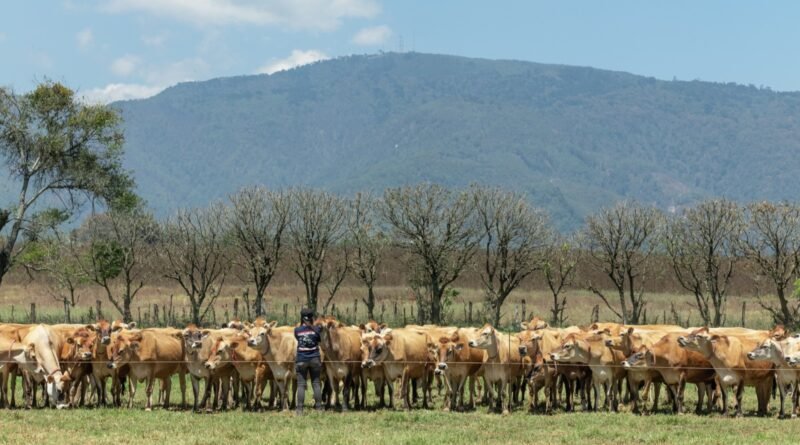 Pasajinak fortalece su compromiso ambiental con iniciativas de sostenibilidad y energías limpias