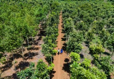 INAB concreta segundo pago de incentivos forestales y fortalece economías locales