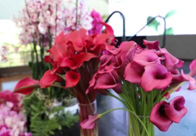 Día de la Madre eleva hasta 10% las exportaciones de flores