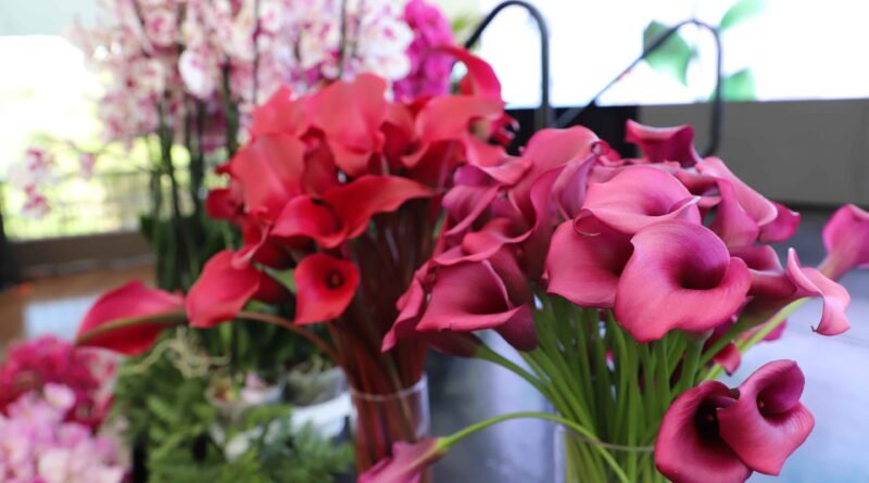 Día de la Madre eleva hasta 10% las exportaciones de flores