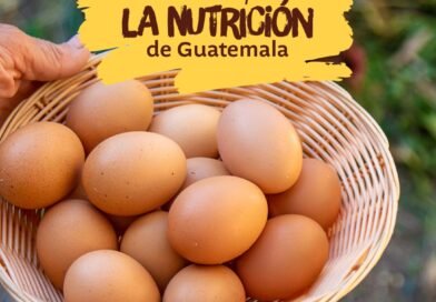 El huevo: un aliado fundamental en la nutrición de la familia guatemalteca