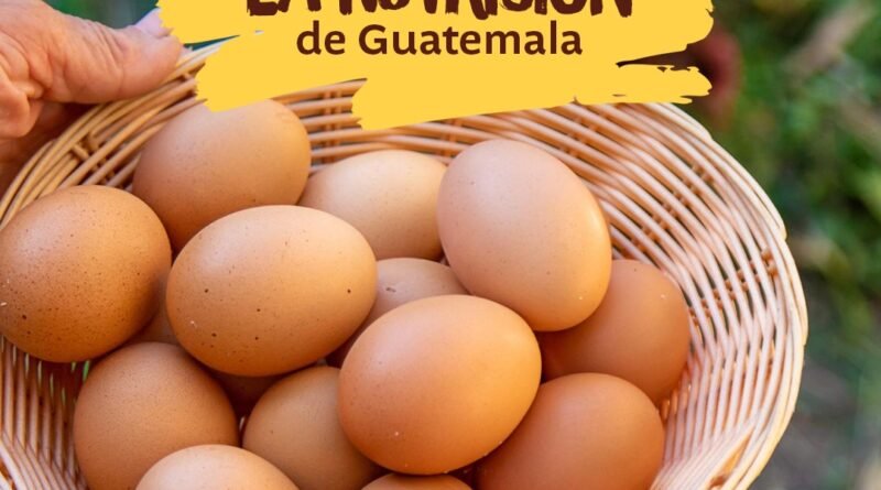 El huevo: un aliado fundamental en la nutrición de la familia guatemalteca