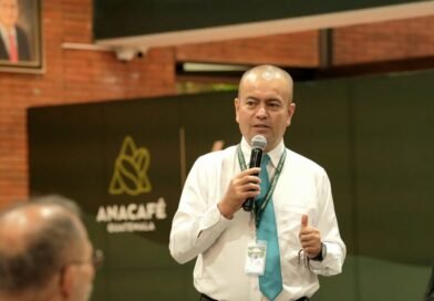 INAB pagará 680 Millones en proyectos forestales PROBOSQUE