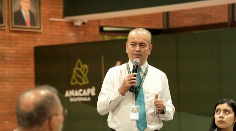 INAB pagará 680 Millones en proyectos forestales PROBOSQUE