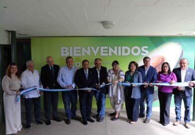 Asia: nuevo horizonte de crecimiento para el aguacate de Guatemala
