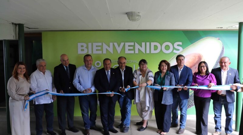 Asia: nuevo horizonte de crecimiento para el aguacate de Guatemala