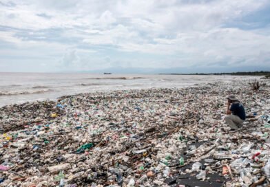 Del ambiente al cuerpo humano:  Plastic Free July pone el foco en los riesgos invisibles de los plásticos de un solo uso