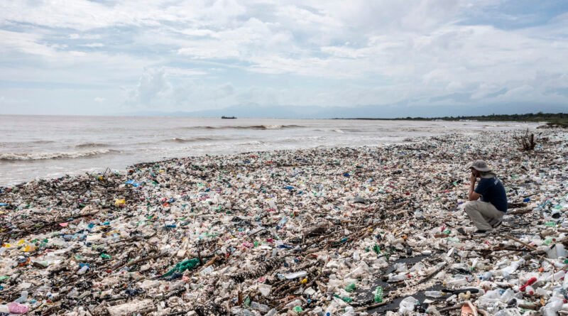Del ambiente al cuerpo humano:  Plastic Free July pone el foco en los riesgos invisibles de los plásticos de un solo uso