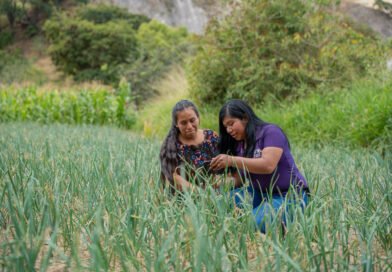 Puente de Amistad impulsa a mujeres agricultoras a producir más y fortalecer sus ingresos en Guatemala