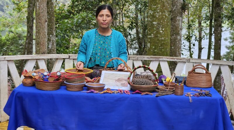 Mujeres indígenas convierten los bosques en desarrollo para sus comunidades 