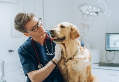 Tu perro no puede decirte que algo cambió, pero sí puede mostrártelo